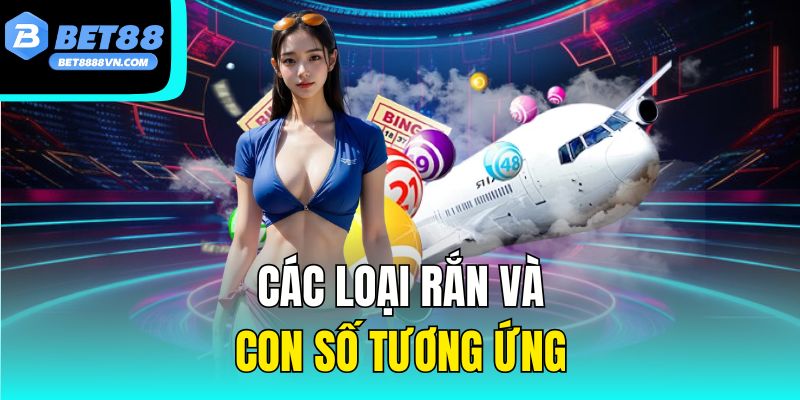 Các loại rắn và con số tương ứng