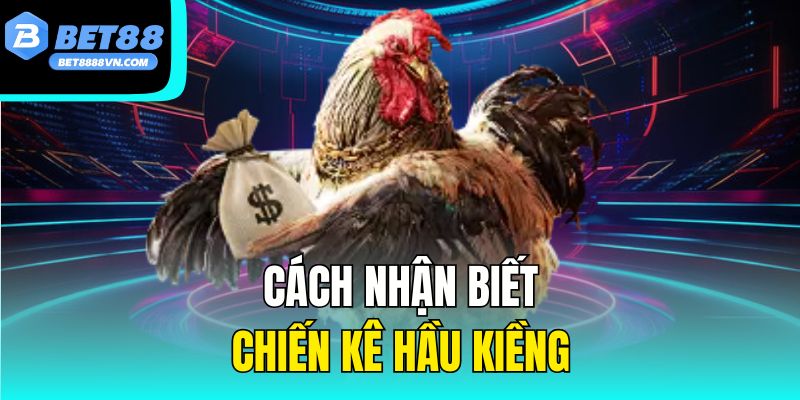  Cách nhận biết chiến kê hầu kiềng