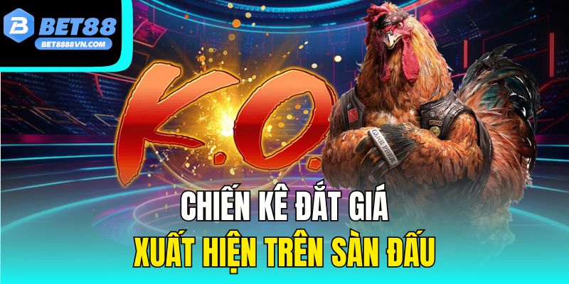 Chiến kê đắt giá xuất hiện trên sàn đấu