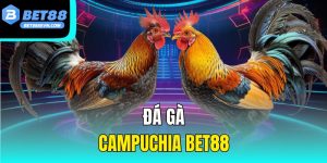 Đá Gà Campuchia Bet88 – Trải Nghiệm Cá Cược Uy Tín Hàng Đầu
