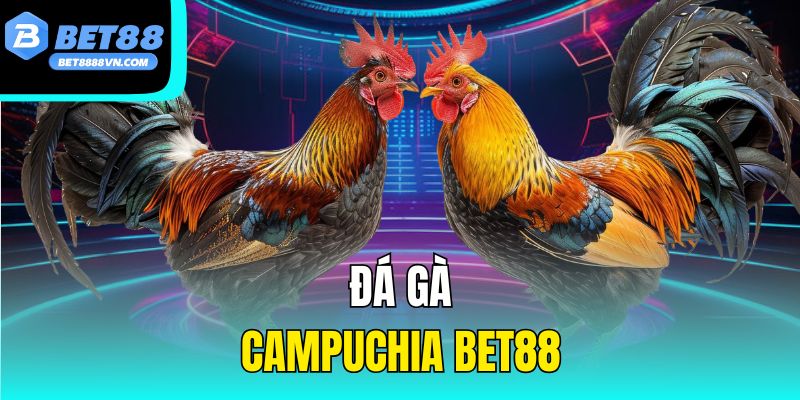 Đá Gà Campuchia Bet88 – Trải Nghiệm Cá Cược Uy Tín Hàng Đầu