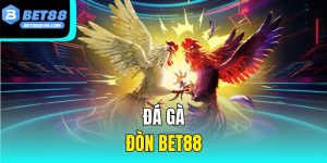 Đá Gà Đòn Bet88 – Trò Chơi Truyền Thống Hấp Dẫn 2025