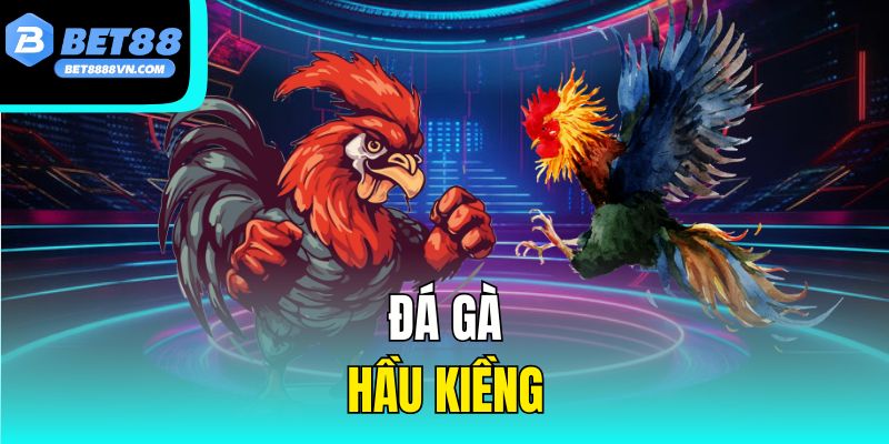 Đá Gà Hầu Kiềng – Đá Gà Truyền Thống Đặc Sắc Của Miền Nam