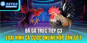Đá Gà Trực Tiếp C3 – Loại Hình Cá Cược Online Hấp Dẫn Số 1