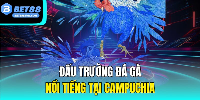 Đấu trường đá gà nổi tiếng tại Campuchia