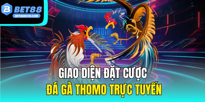 Giao diện đặt cược đá gà Thomo trực tuyến
