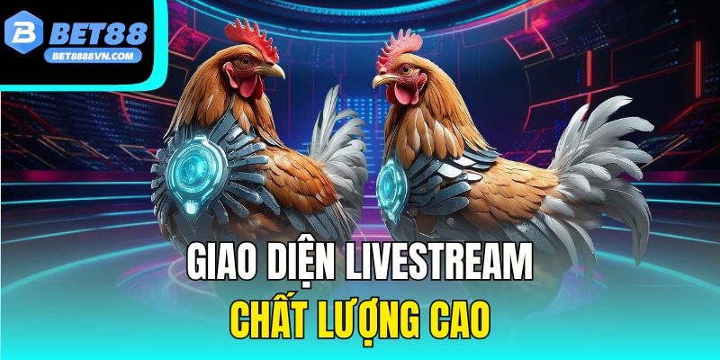 Giao diện livestream chất lượng cao