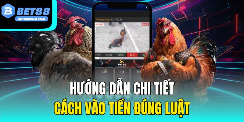 Hướng dẫn chi tiết cách vào tiền đúng luật