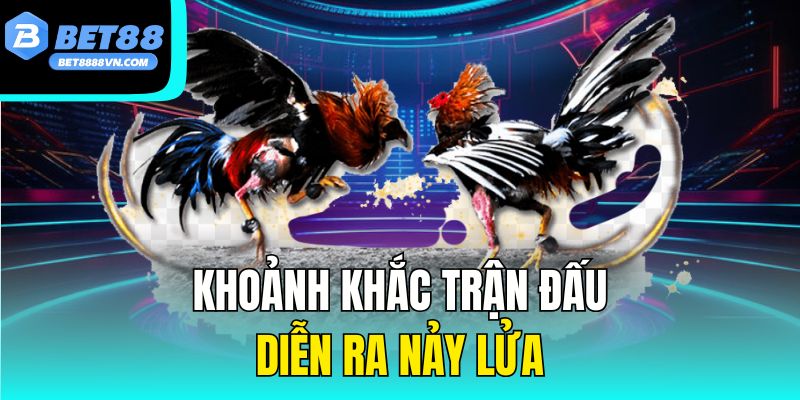 Khoảnh khắc trận đấu diễn ra nảy lửa