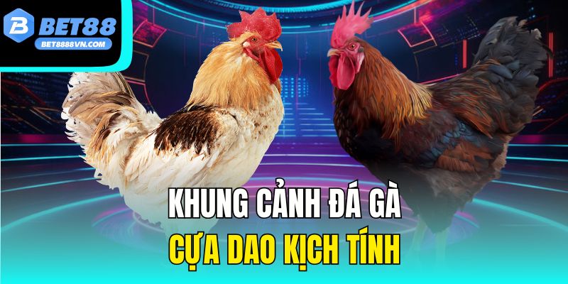 Khung cảnh đá gà cựa dao kịch tính