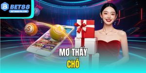 Mơ Thấy Chó – Ý Nghĩa Giấc Mơ Và Con Số May Mắn Trong Lô Đề