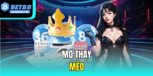 Mơ Thấy Mèo - Giải Mã Giấc Mơ Và Con Số May Mắn Trong Lô Đề