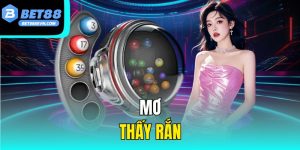 Mơ Thấy Rắn – Ý Nghĩa Và Con Số May Mắn Trong Lô Đề