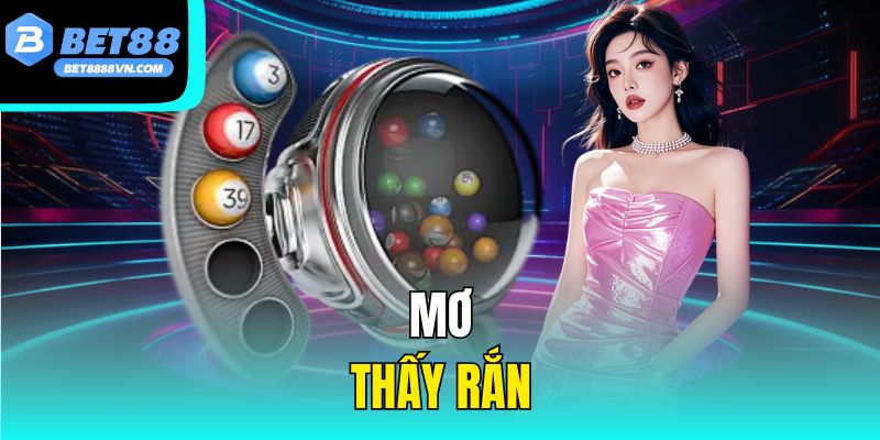 Mơ Thấy Rắn – Ý Nghĩa Và Con Số May Mắn Trong Lô Đề