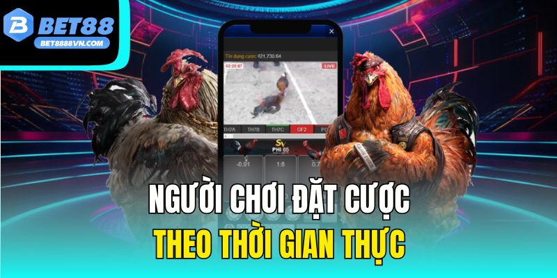Người chơi đặt cược theo thời gian thực