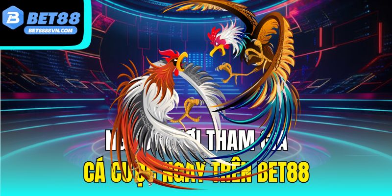 Người chơi tham gia cá cược ngay trên bet88