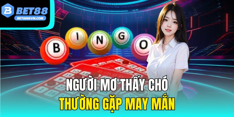 Người mơ thấy chó thường gặp may mắn