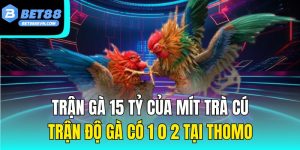 Trận Gà 15 Tỷ Của Mít Trà Cú – Trận Độ Gà Có 1 0 2 Tại Thomo