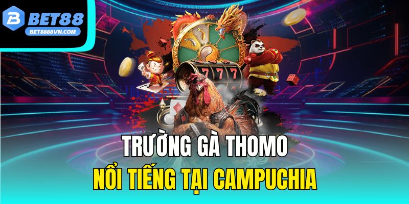 Trường gà Thomo nổi tiếng tại Campuchia